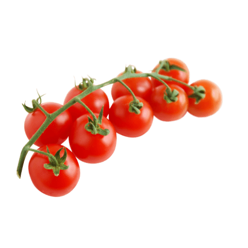 Fresh Tomatoes