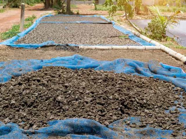 Organic Pig Manure